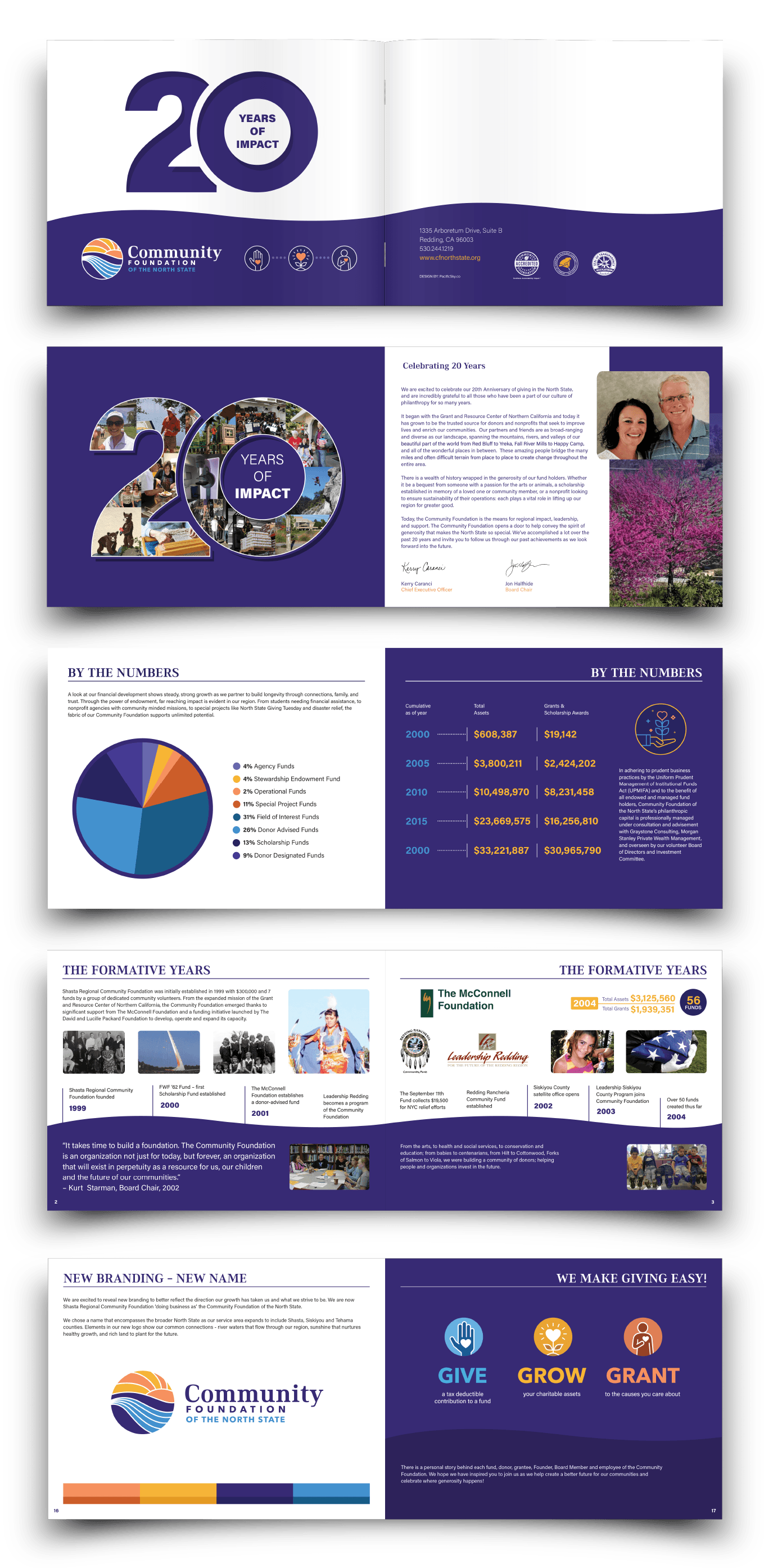 CFNS Annual Report graphic design samples