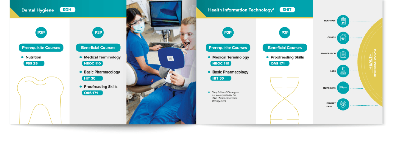 Educational marketing brochure design for dental hygiene and health information technology