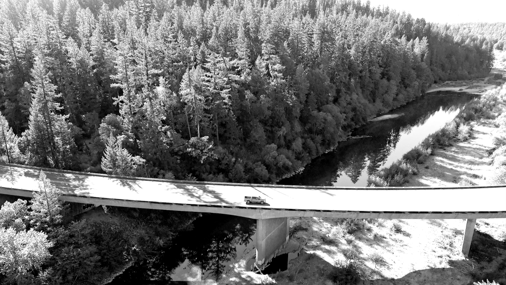 Resilient Careers in Forestry 2