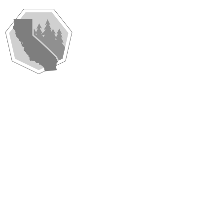Portfolio 7