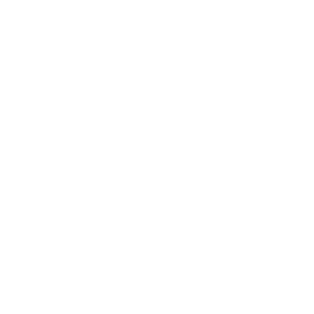 Portfolio 3